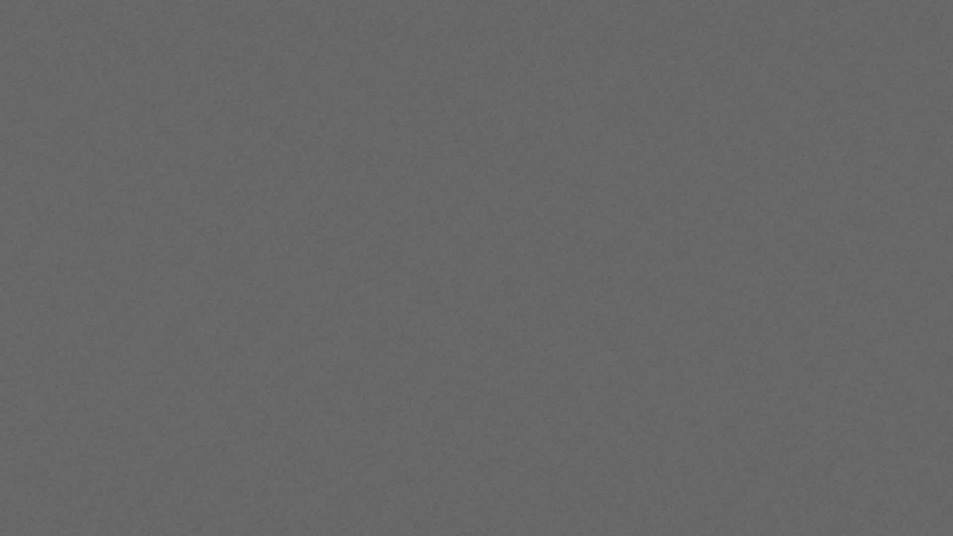 The 5 Rules of War (INTERNATIONAL)