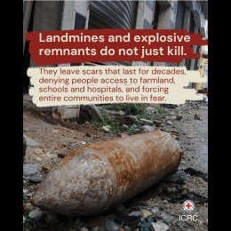 Unexploded ordnance evergreen - 4x5