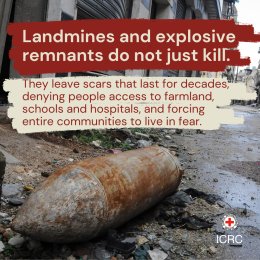 Unexploded ordnance evergreen - sq