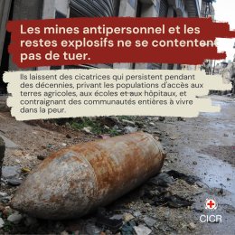 Unexploded ordnance evergreen - sq