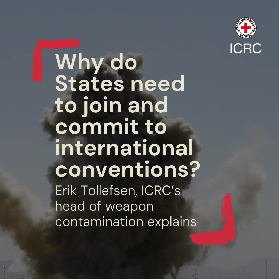 Erik INT sq - treaties