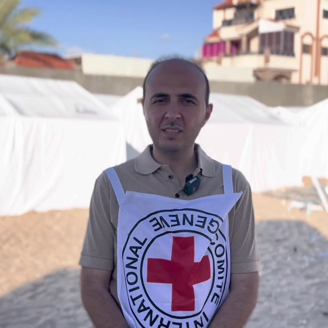 howisgaza2_no_music.mov