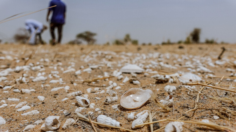 Mali: Mudanças climáticas transformam o Lago Faguibine em um deserto