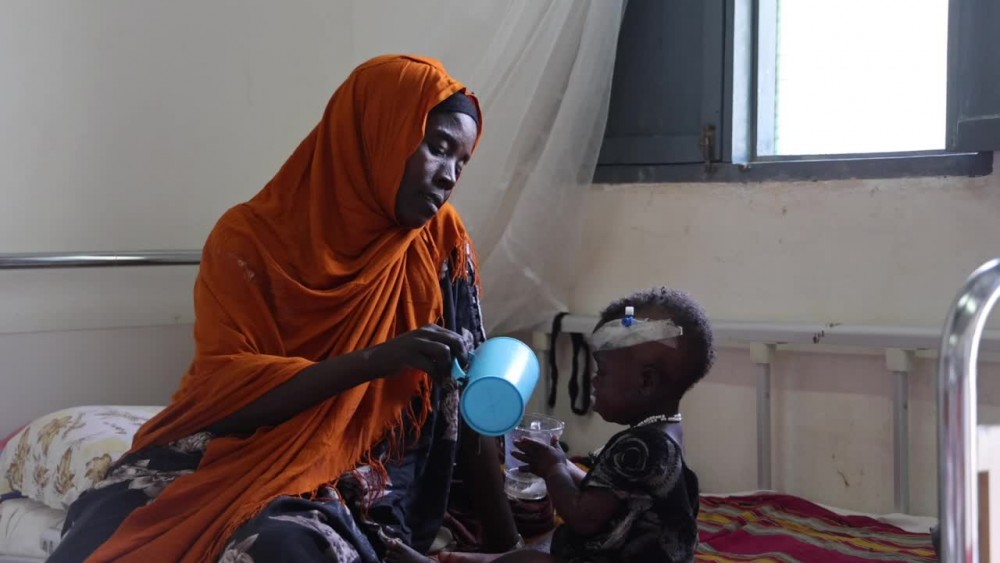 Somalia: Hundreds of thousands suffer from the most severe drought in the last decade - Vimarsana News