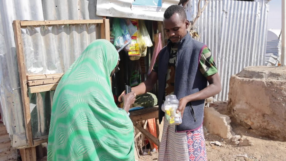 Somalia: Cash To Build Resilience To Climate Shocks - Vimarsana News