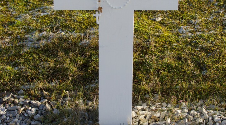 Darwin cemetery