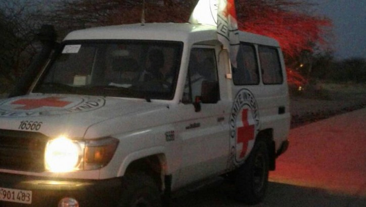 Nigeria: ICRC facilitates hand-over of 13 released persons