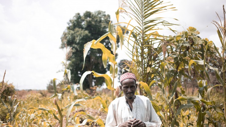 This herder was displaced by the conflict to Zemio, in south-eastern CAR, where – having lost his livestock – he became a farmer.  Florent Vergnes/ICRC