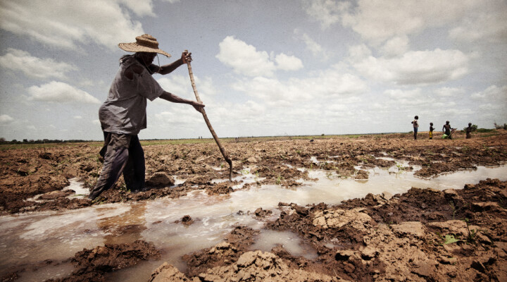 This farmer in Sofara, south of Mopti, says that the weather has become unpredictable. Seasons are changing, periods of extreme heat are longer, and the infrequent rains are so heavy, when they do come, that they destroy everything. Samuel Turpin/ ICRC  Part of Humans & Climate Change documentary project.