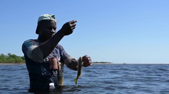 Mozambique, Cabo Delgado: Increased violence and attacks push a third of the population from their homes